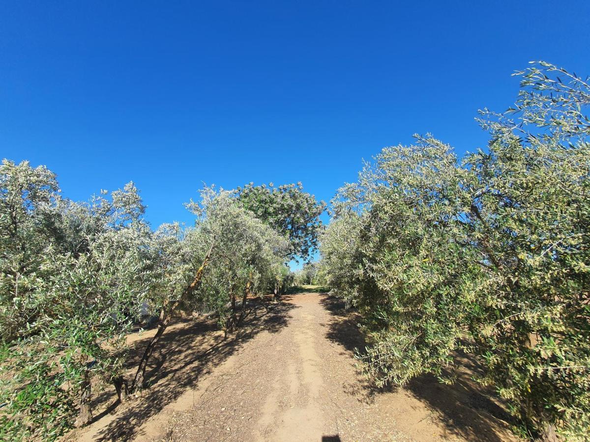 Villaluna Marchena ภายนอก รูปภาพ